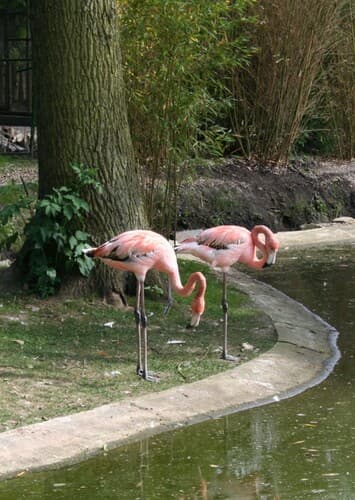 Tierpark Hamm