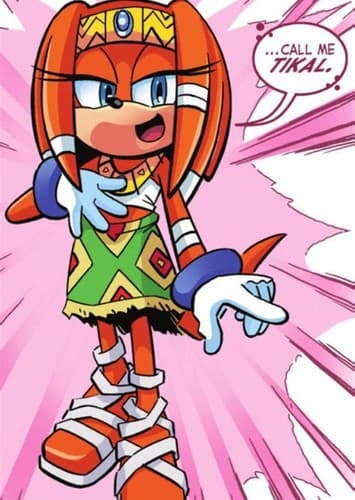 Tikal the Echidna