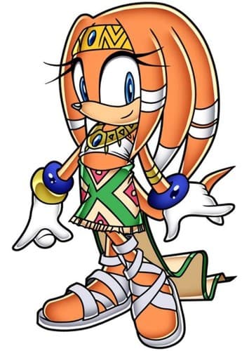 Tikal the Echidna