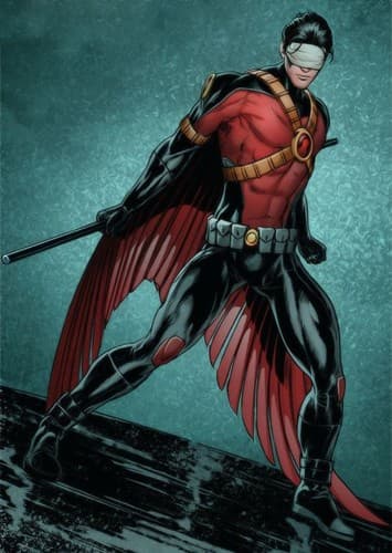 Tim Drake/Red Robin