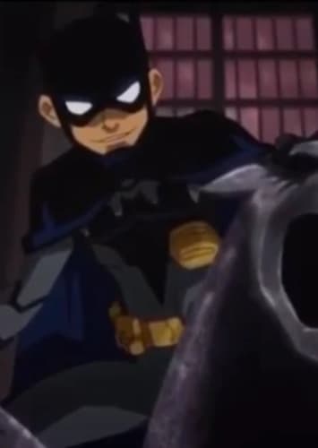 Tim Drake/Robin/Batkid/Red Robin