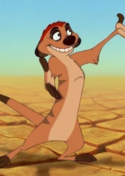 Timon