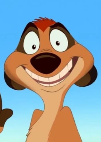Timon