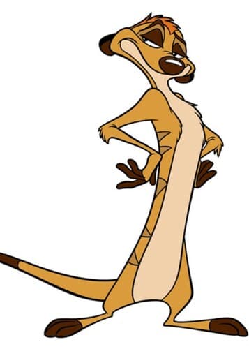 Timon