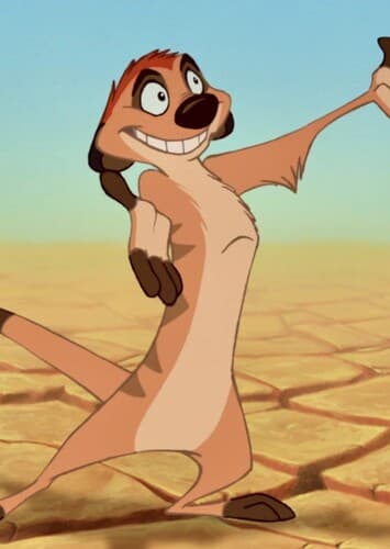 Timon