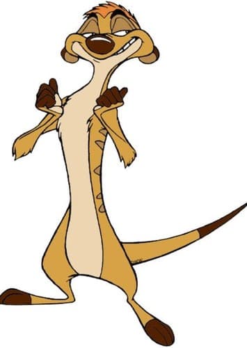 Timon