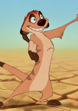 Timon