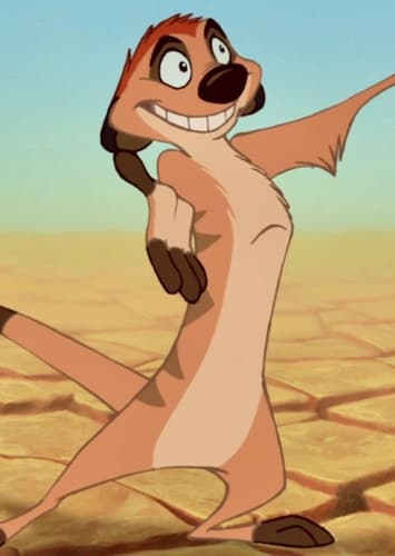 Timon