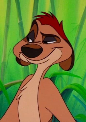 Timon