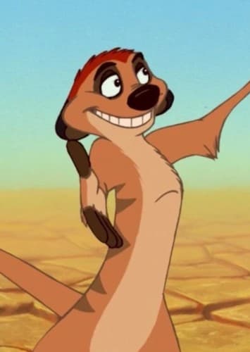 Timon