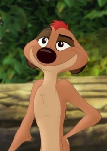 Timon