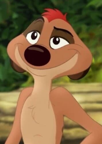 Timon