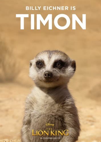 Timon
