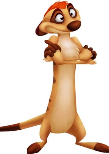 Timon