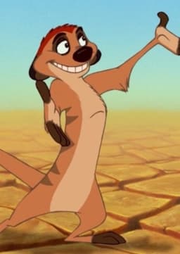 Timon