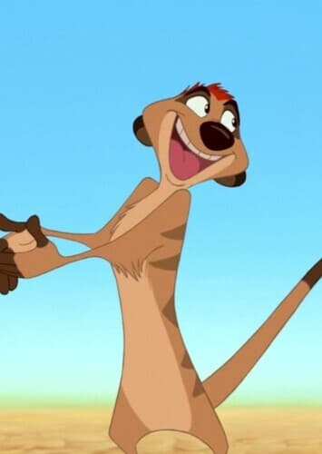 Timon