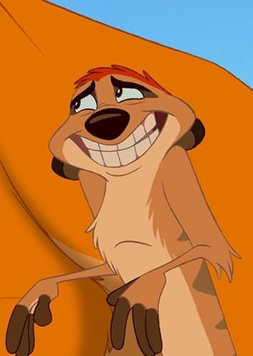 Timon