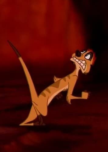 Timon