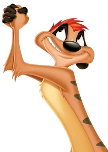 Timon