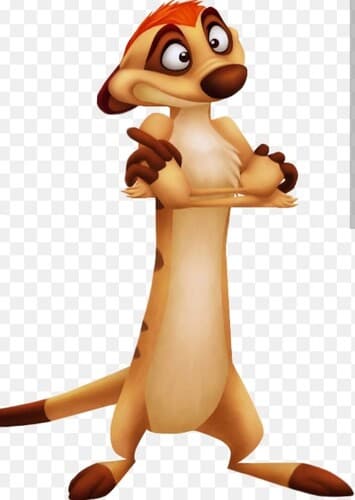 Timon