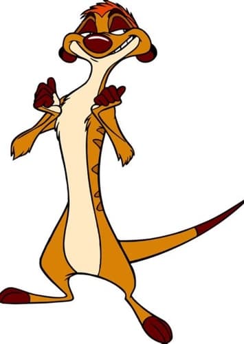 Timon