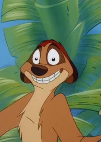 Timon