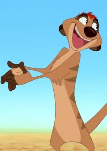 Timon
