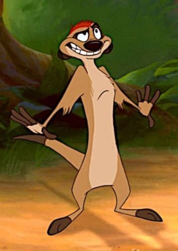 Timon