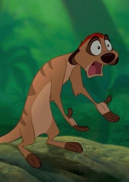 Timon