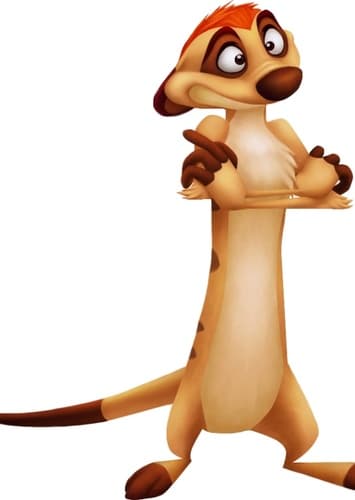 Timon