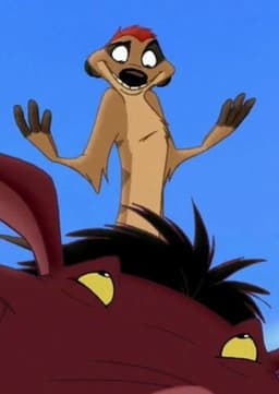 Timon
