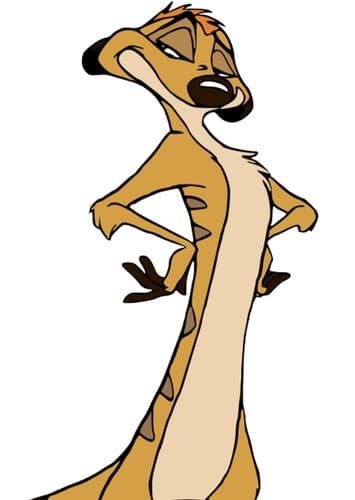 Timon