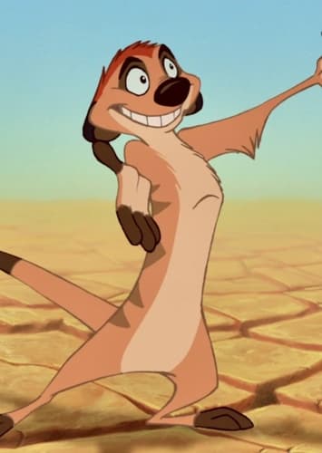 Timon