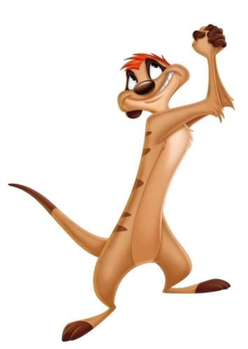 Timon