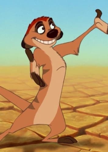 Timon