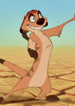 Timon