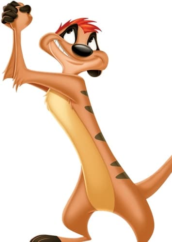 Timon
