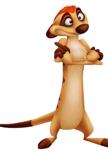 Timon