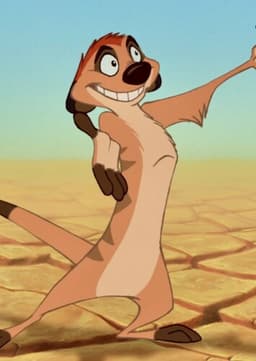 Timon