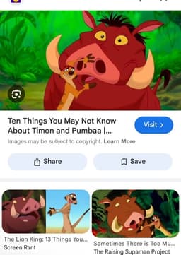Timon and pumba