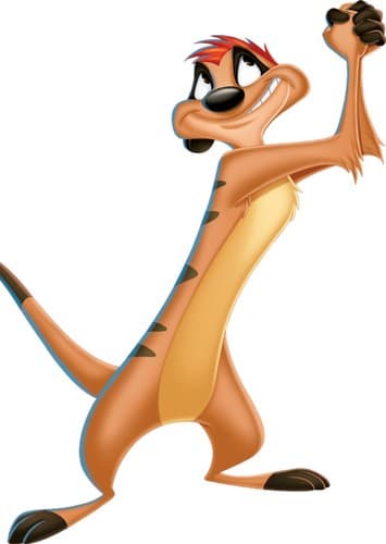 Timon (Florida)