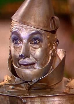 Tin Man