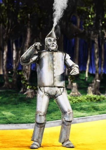 Tin Man
