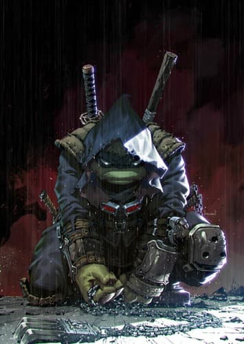 TMNT: The Last Ronin