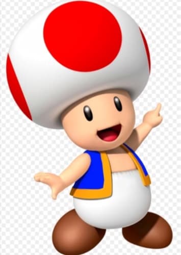 Toad