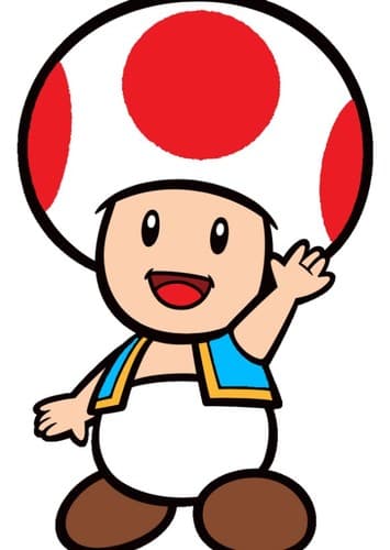 Toad