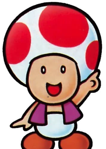 Toad