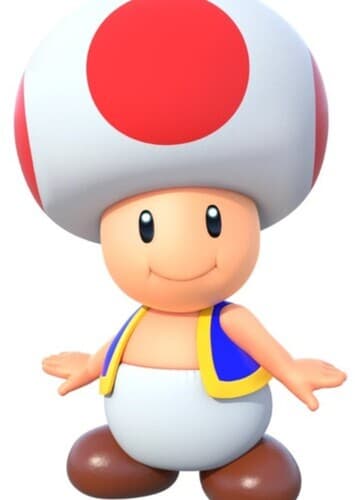Toad