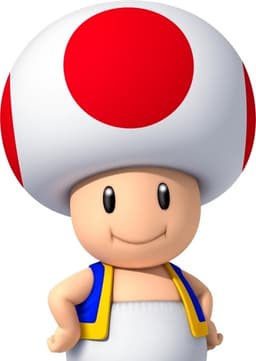 Toad