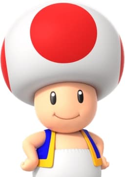 Toad